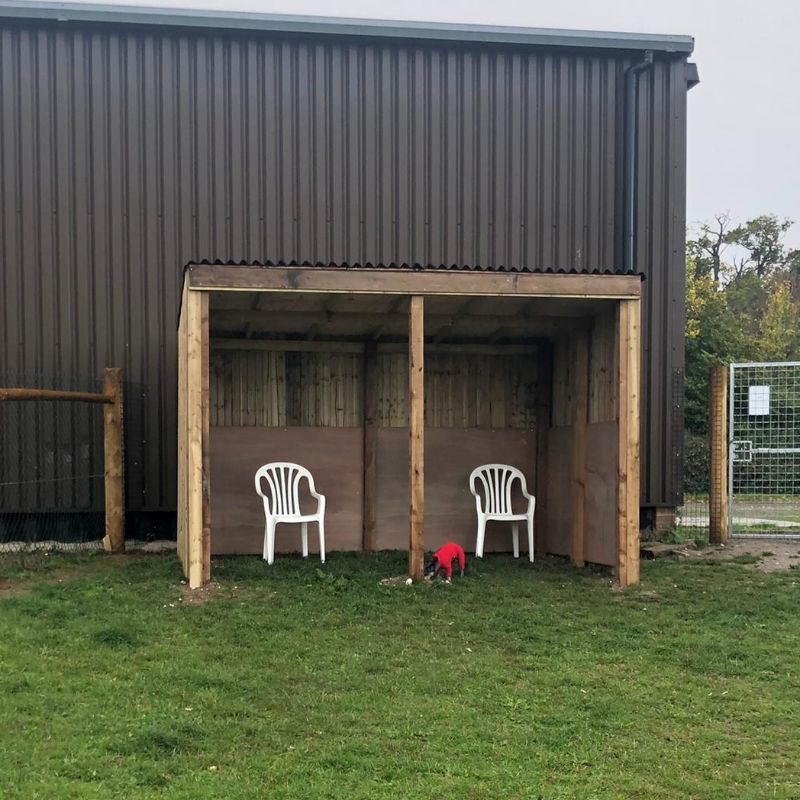 The Arenas Gallery Image - Royal Hounds Dog Park